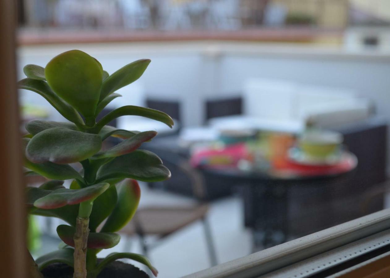 B&B Domus Palmi Kültér fotó